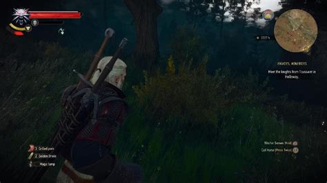 The Witcher 3:Wild Hunt Tvarog rune stone locaiton .